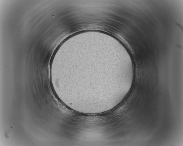 X0000102760988200809151010