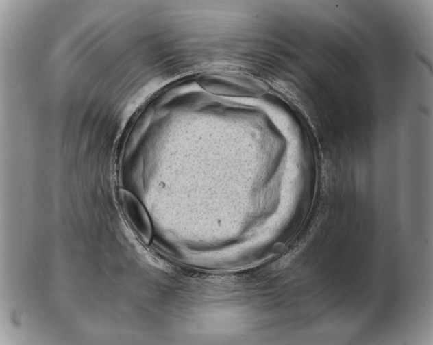 X0000102760989200809151010