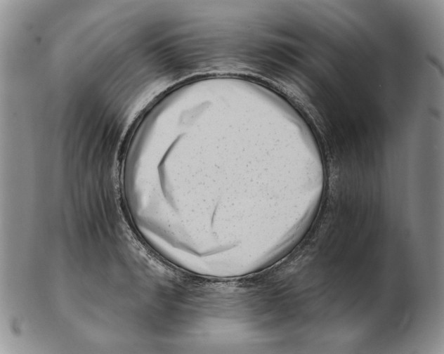 X0000102760990200809151010