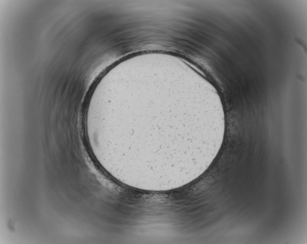 X0000102760991200809151010