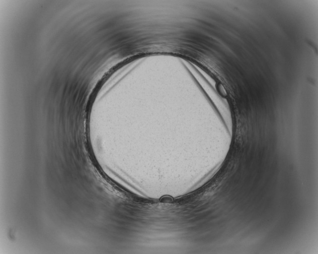 X0000102760992200809151010