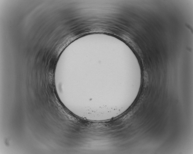 X0000102760993200809151010