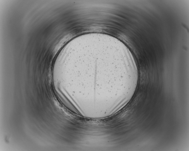 X0000102760994200809151010