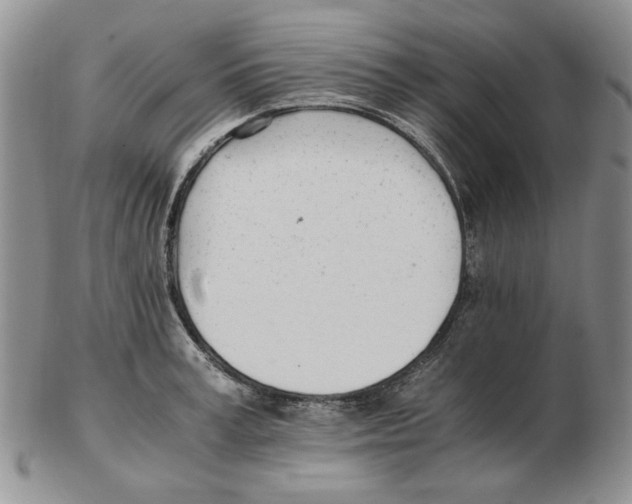 X0000102760995200809151010