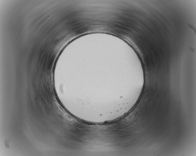 X0000102760996200809151010