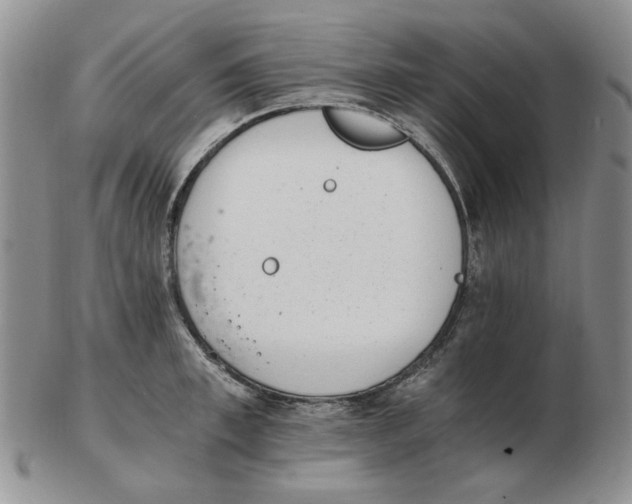 X0000102760997200809151010