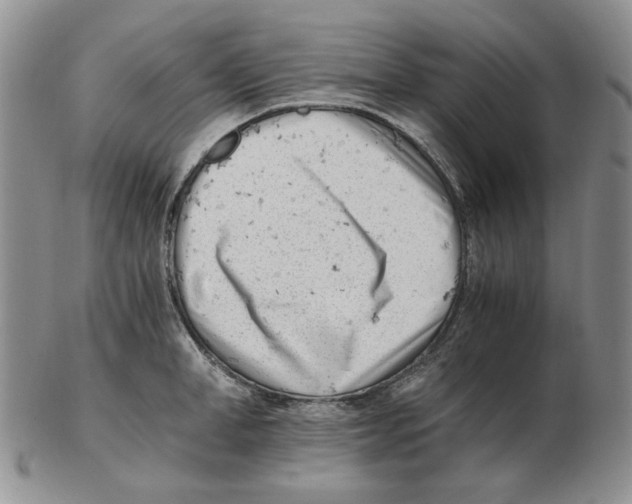 X0000102760998200809151010