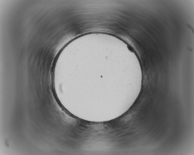 X0000102760999200809151010