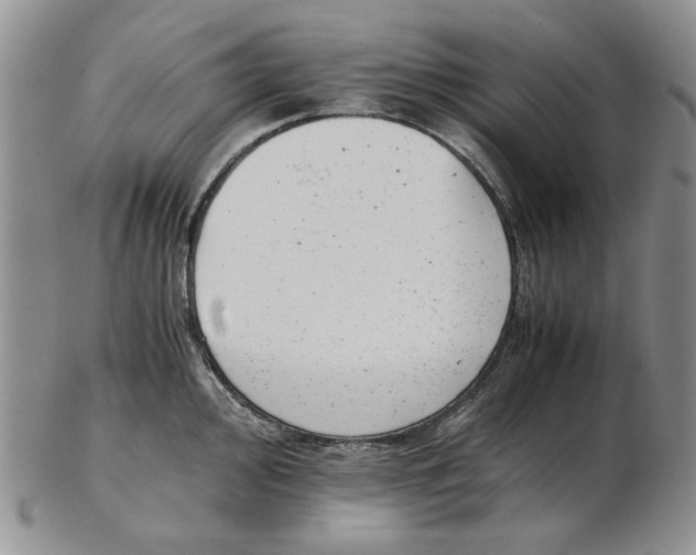 X0000102761000200809151010