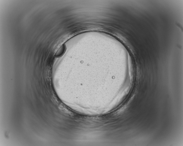 X0000102761001200809151010