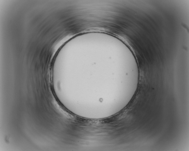 X0000102761003200809151009