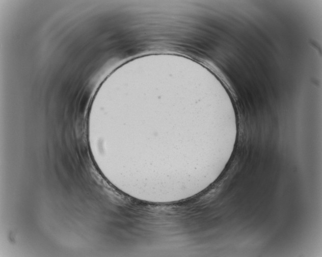 X0000102761004200809151009