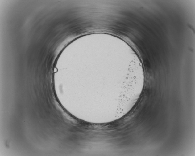 X0000102761005200809151009