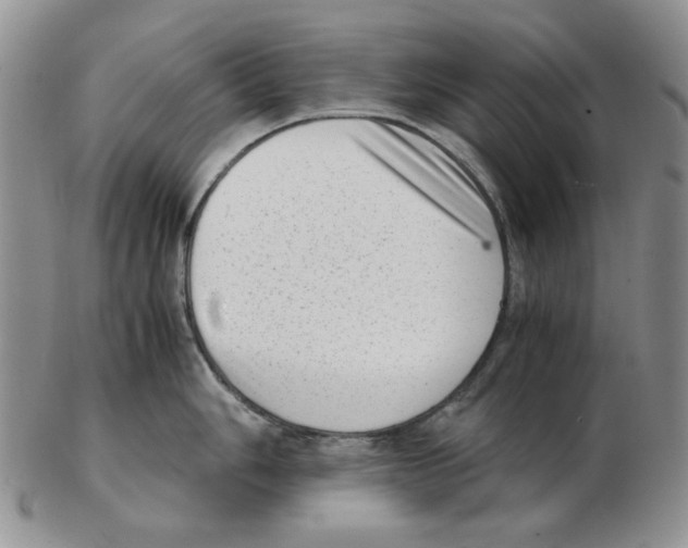 X0000102761006200809151009