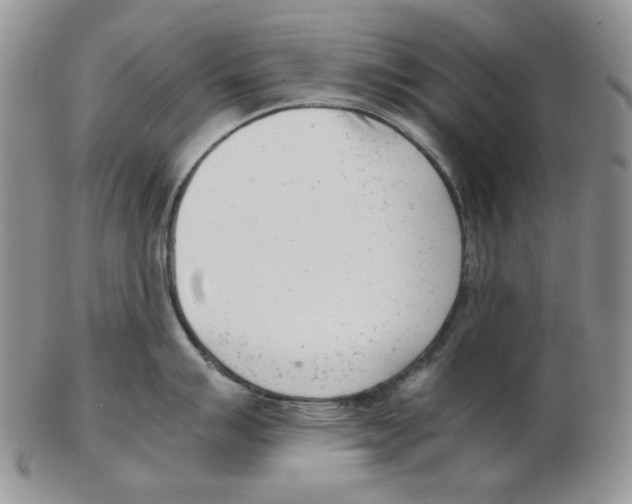 X0000102761007200809151009