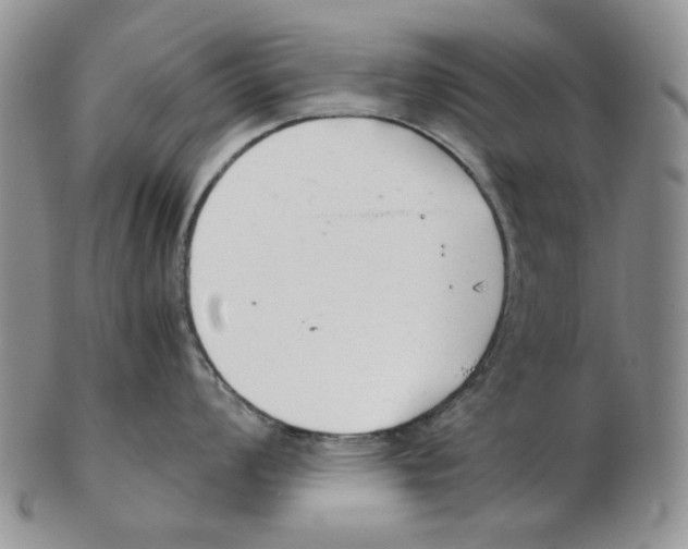 X0000102761008200809151009