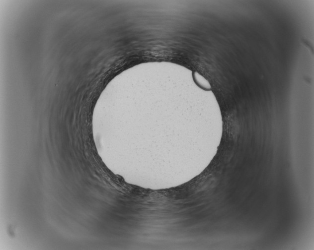 X0000102761009200809151009