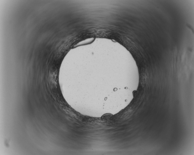 X0000102761010200809151009