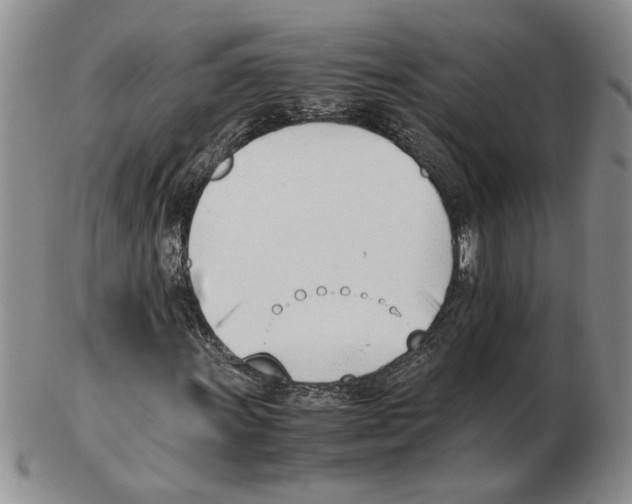 X0000102761011200809151009