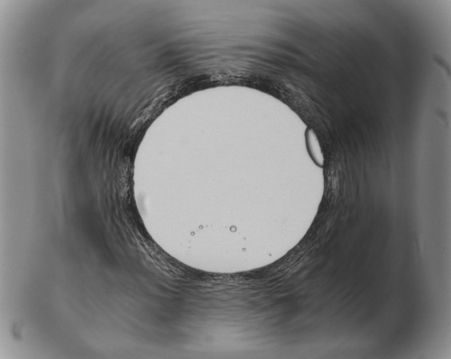 X0000102761012200809151009