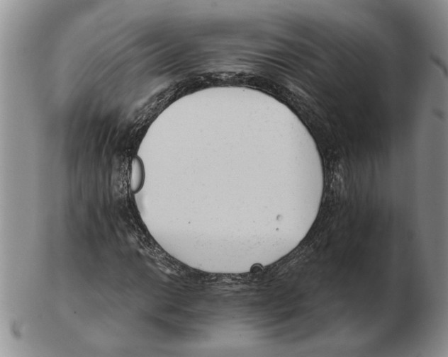 X0000102761014200809151009