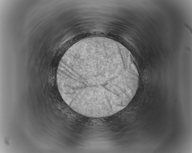 X0000102761015200809151009