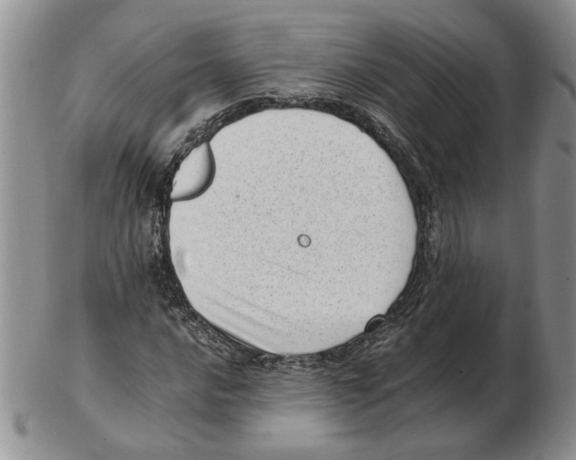 X0000102761016200809151009