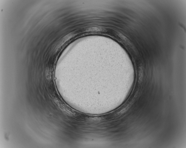 X0000102761017200809151009