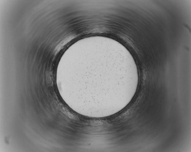 X0000102761018200809151009