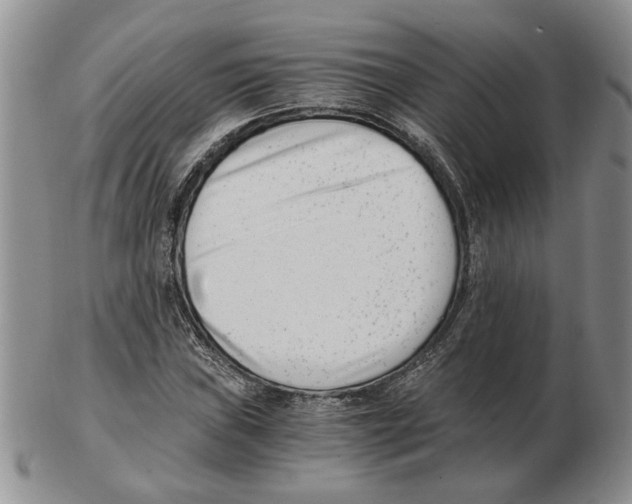 X0000102761019200809151009