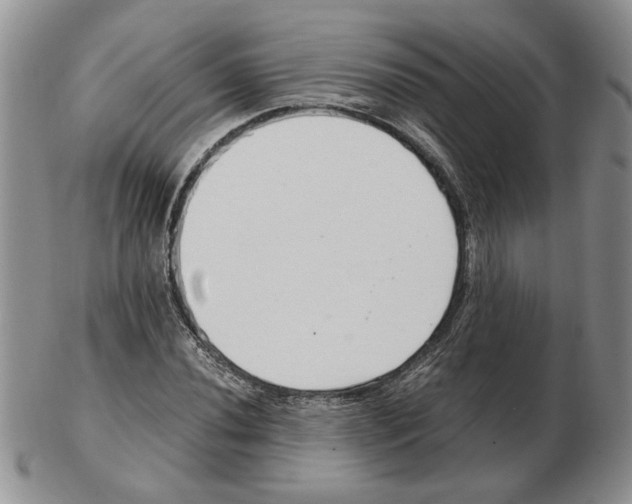 X0000102761020200809151009