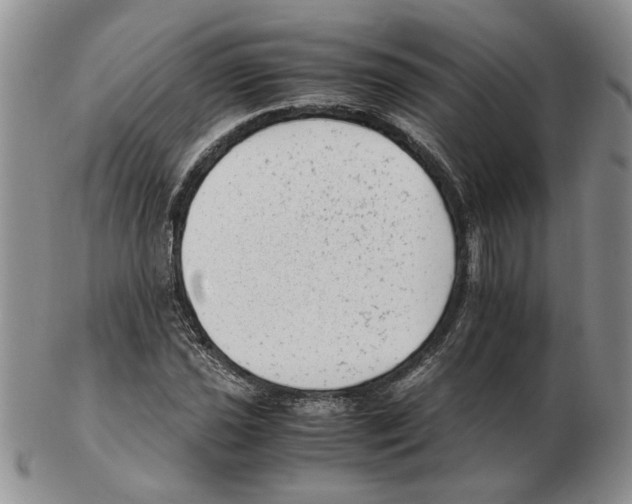 X0000102761021200809151009