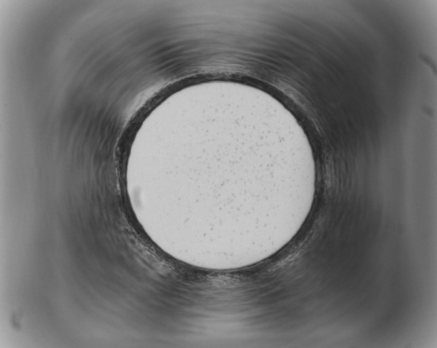 X0000102761022200809151009