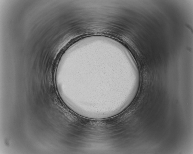 X0000102761023200809151009