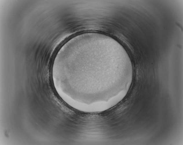 X0000102761024200809151009