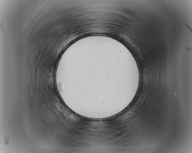 X0000102761025200809151009