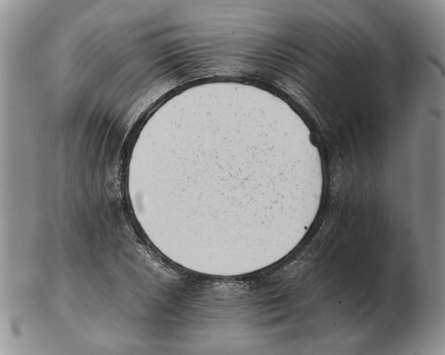 X0000102761026200809151009