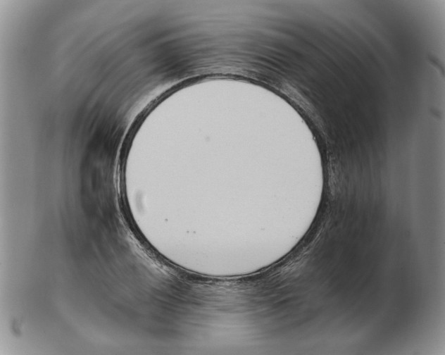 X0000102761028200809151009