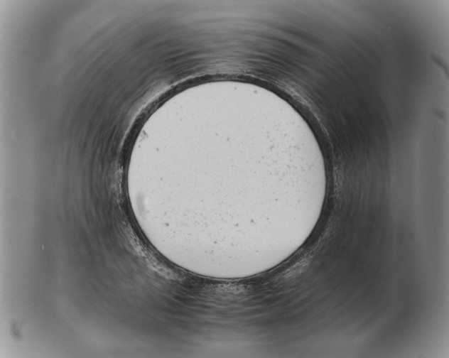 X0000102761029200809151009