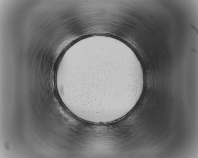 X0000102761030200809151009