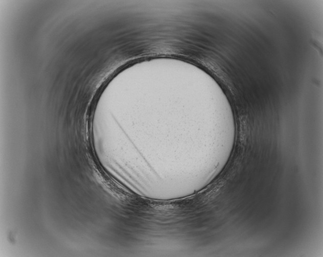 X0000102761031200809151009