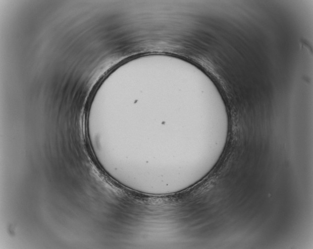 X0000102761032200809151009