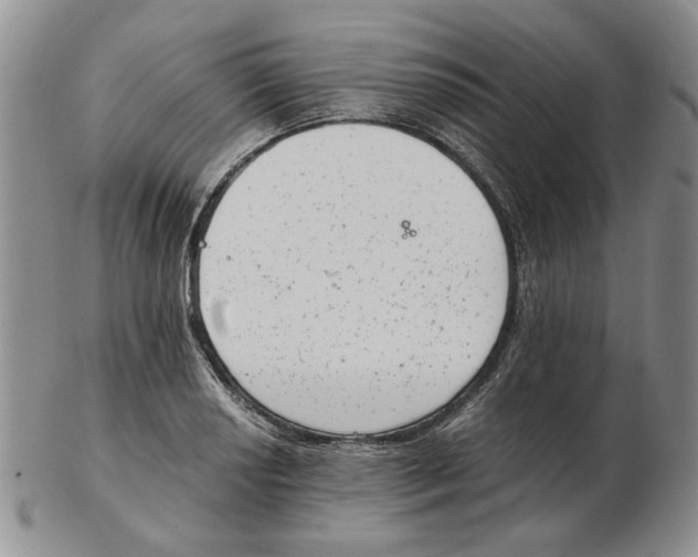 X0000102761034200809151009