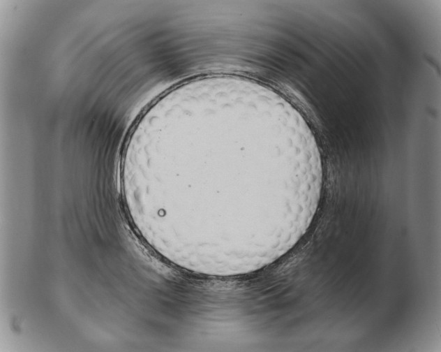 X0000102761036200809151009