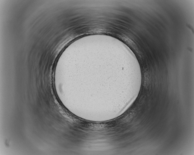 X0000102761039200809151009