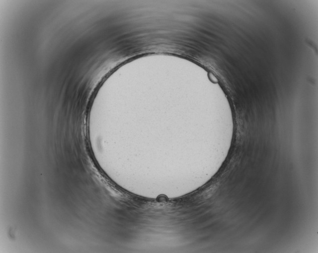 X0000102761040200809151009