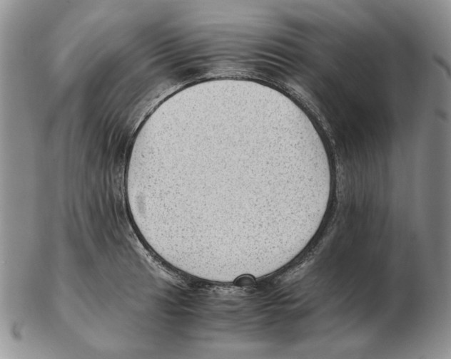 X0000102761041200809151009