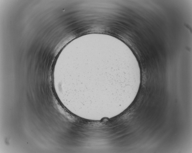 X0000102761042200809151009