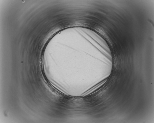 X0000102761043200809151009