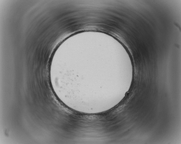 X0000102761045200809151009